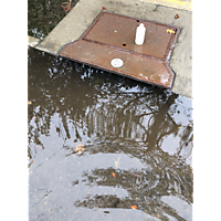 MTM king tide Oct27 image